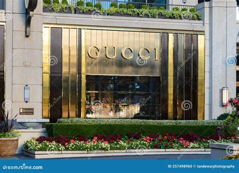 gucci bravern